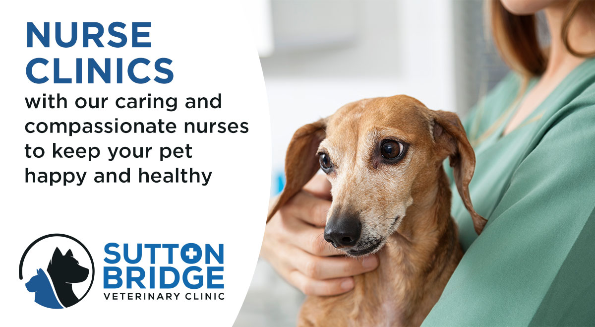 Clinic for hot sale pets